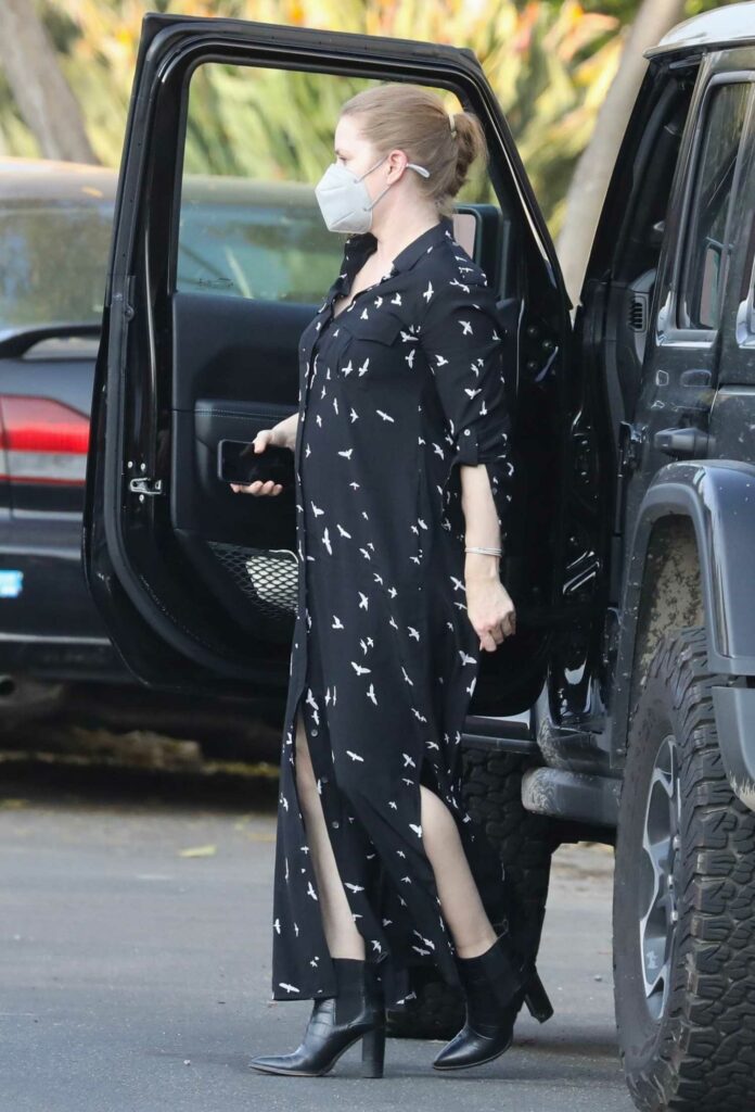 Amy Adams in a Black Dress