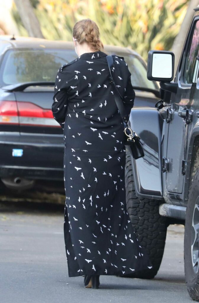 Amy Adams in a Black Dress