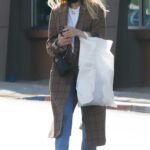 Ashlee Simpson in a Brown Plaid Coat Was Seen Out Shopping for Clothes in Los Angeles