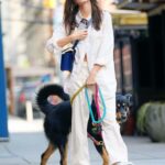 Emily Ratajkowski in a Beige Ensemble Walks Her Dog in New York