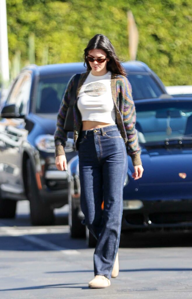 Kendall Jenner in a Colorful Cardigan