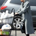 Dakota Fanning in a Grey Trench Coat Was Seen Out for a Grocery Run at Vons in Toluca Lake