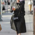Dita Von Teese in an Olive Coat Was Seen Out in Los Angeles