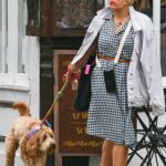 Busy Philipps in a Checked Dress Walks Her Dog in New York