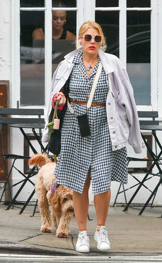 Busy Philipps in a Checked Dress