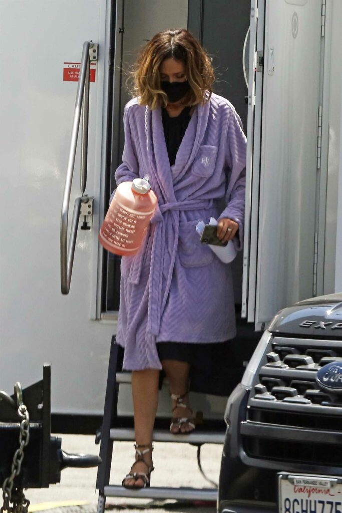 Rose Byrne in a Purple Bathrobe