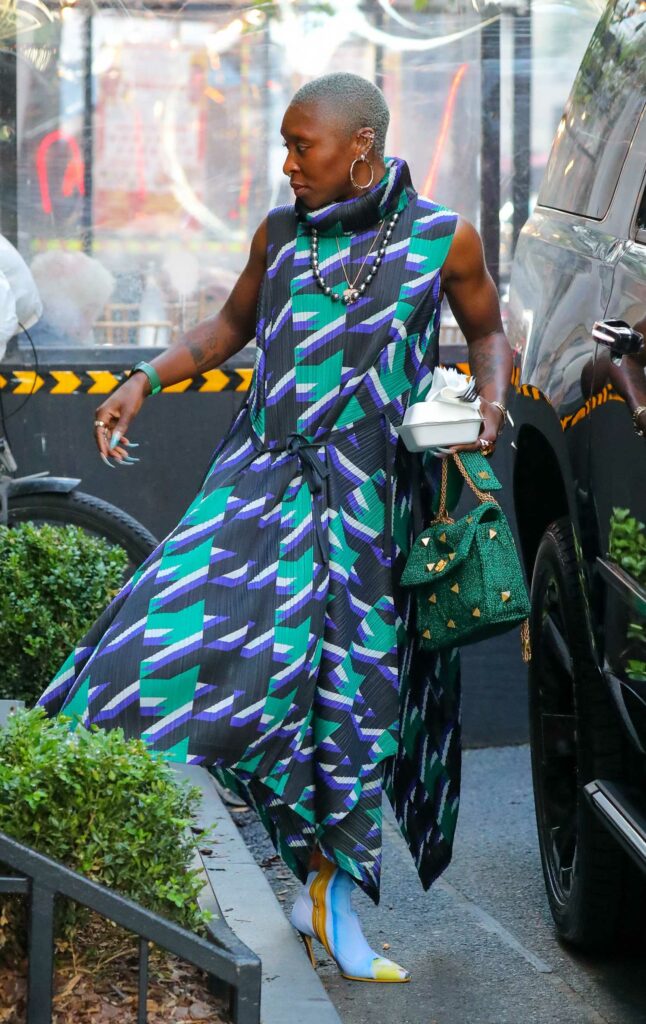 Cynthia Erivo in a Patterned Dress