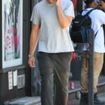 Alexander Skarsgard in a Grey Tee Was Seen Out in New York