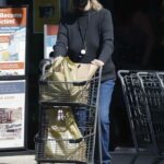 Cybill Shepherd in a Black Protective Mask Goes Grocery Shopping in Los Angeles