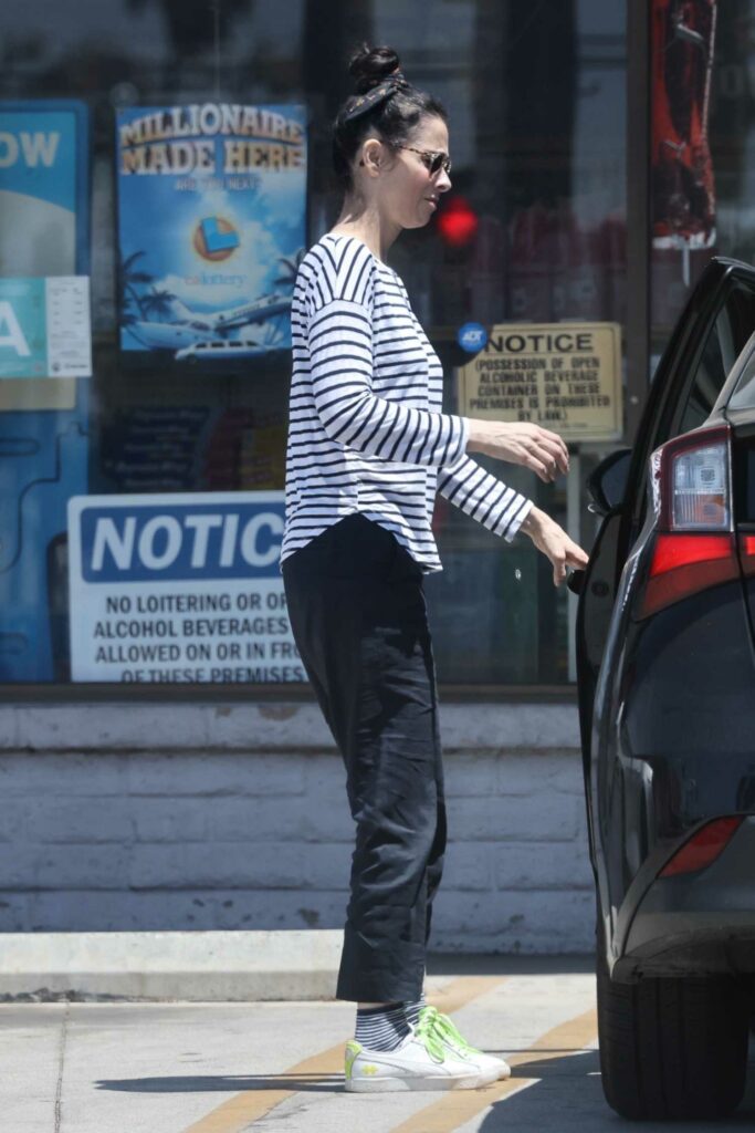 Sarah Silverman in a Striped Long Sleeves T-Shirt