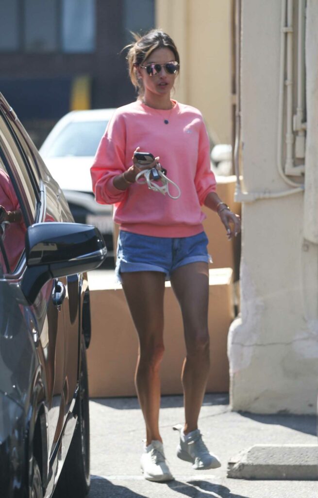 Alessandra Ambrosio in a Pink Sweatshirt