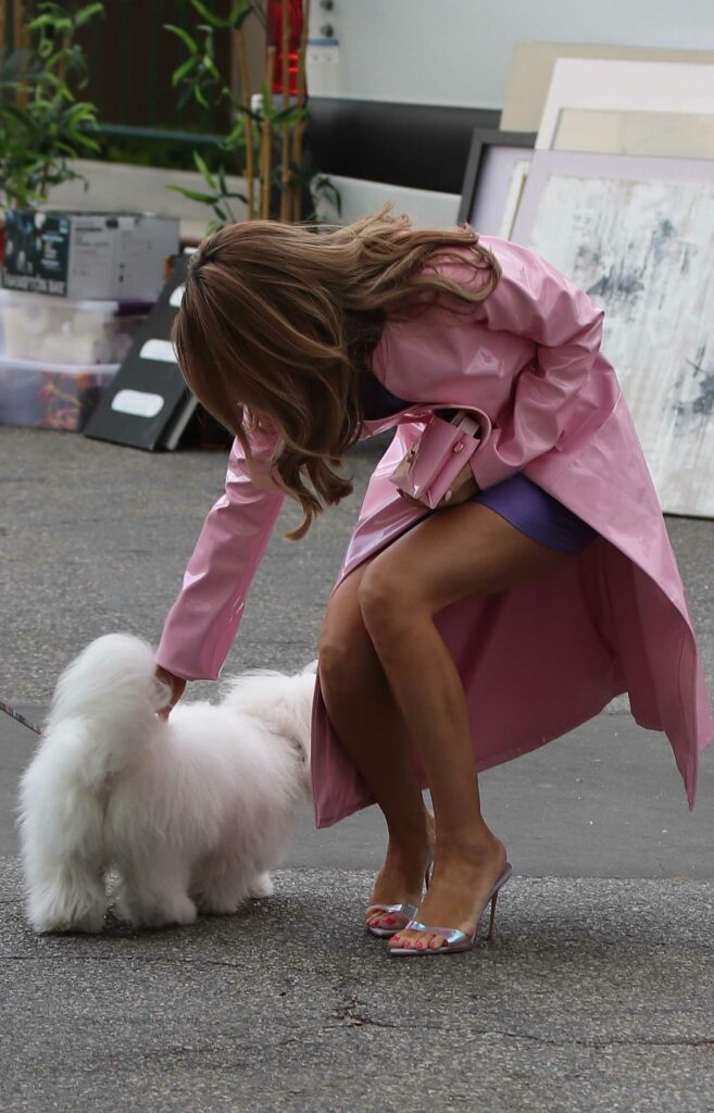Chrishell Stause in a Pink Trench Coat