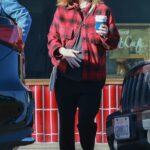 Kate Mara in a Red Plaid Shirt Was Seen Out in Los Angeles