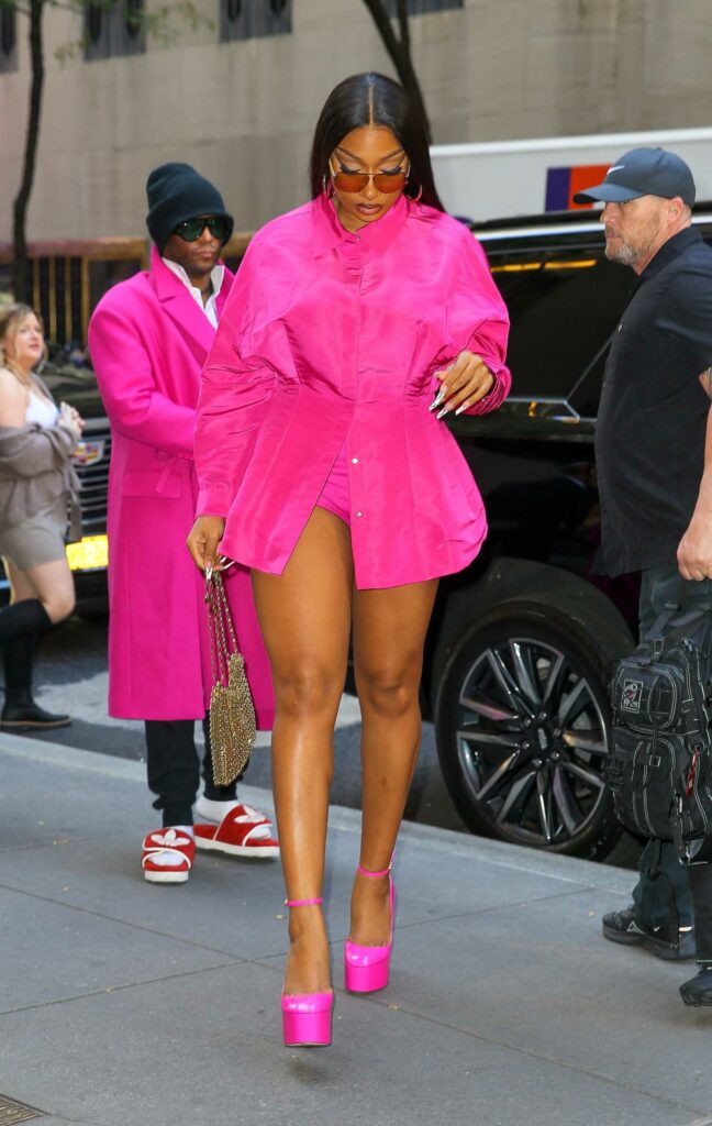 Megan Thee Stallion in a Pink Outfit