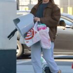 Ashley Tisdale in a Grey Sweatpants Hits Target in Los Feliz