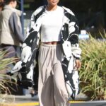 Karrueche Tran in a Cropped White Top Was Seen Out in West Hollywood