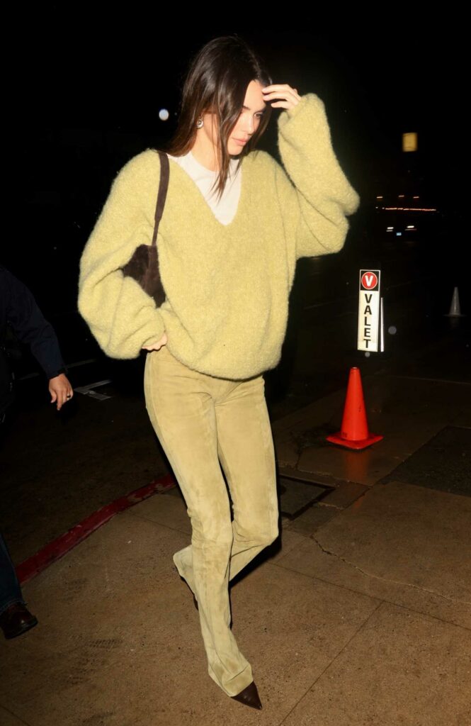 Kendall Jenner in an Olive Sweater