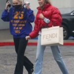 Miley Cyrus in a Black Protective Mask Was Seen Out with Tish Cyrus in Burbank