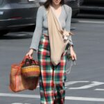 Scout Willis in a Plaid Pants Was Seen Out in Studio City