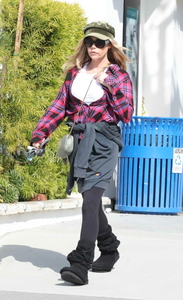 Denise Richards in a Plaid Shirt