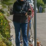 Cybill Shepherd in a Black Sneakers Walks Her Dogs in Los Angeles