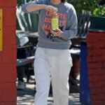 Sara Gilbert in a Grey Sweatshirt Makes a Pit Stop at the Laurel Canyon Country Store in Los Angeles