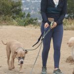 Alicia Silverstone in a Grey Leggings Walks Her Dogs in Los Angeles