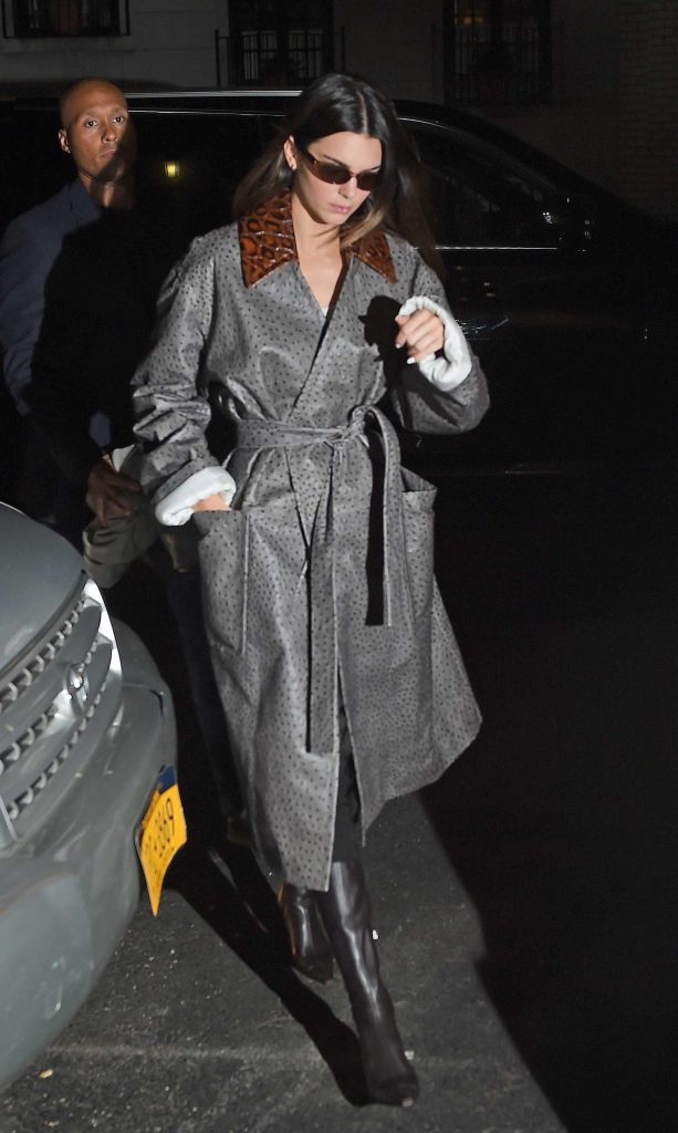 Kendall Jenner in a Grey Animal Print Leather Coat