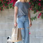 Malin Akerman in a Grey Tee Walks Her Dog in Los Angeles