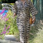 Kate Hudson in an Animal Print Dress Was Seen Out in Pacific Palisades