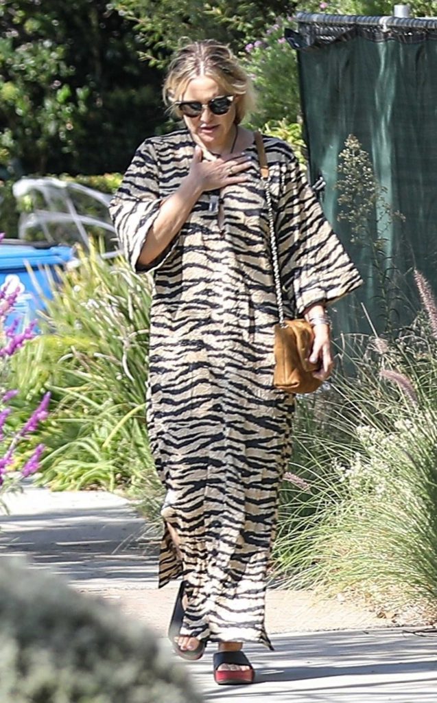 Kate Hudson in an Animal Print Dress