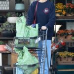 Whitney Port in a Baby Blue Sweatpants Goes Grocery Shopping at Gelson’s Market in Studio City