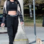 Stella Maxwell in a Black Sweatpants Walks Her Dog in Los Angeles