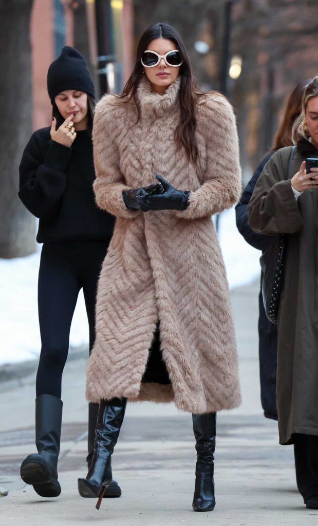 Kendall Jenner in a Beige Fur Coat