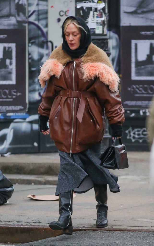 Chloe Sevigny in a Brown Leather Jacket