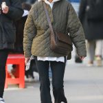 Julianne Moore in an Olive Jacket Was Seen Taking a Stroll in New York