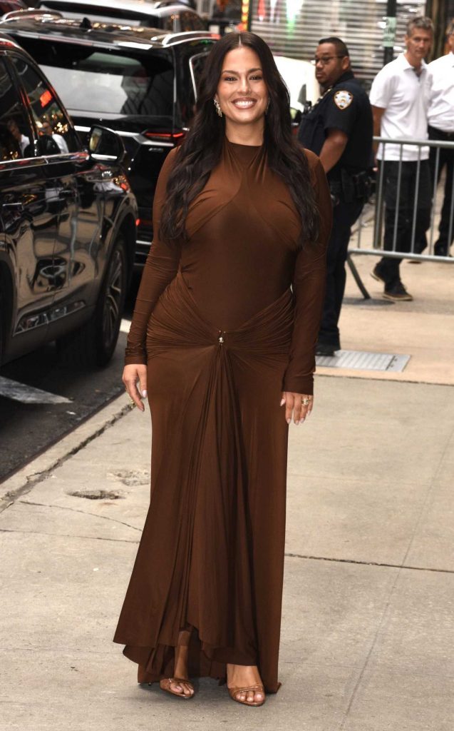 Ashley Graham in a Brown Dress