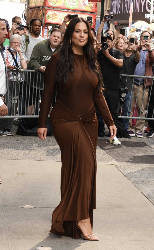 Ashley Graham in a Brown Dress