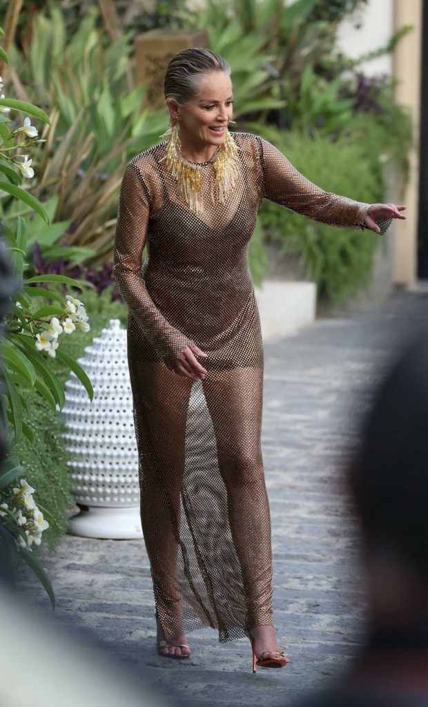 Sharon Stone in a Gold See-Through Dress