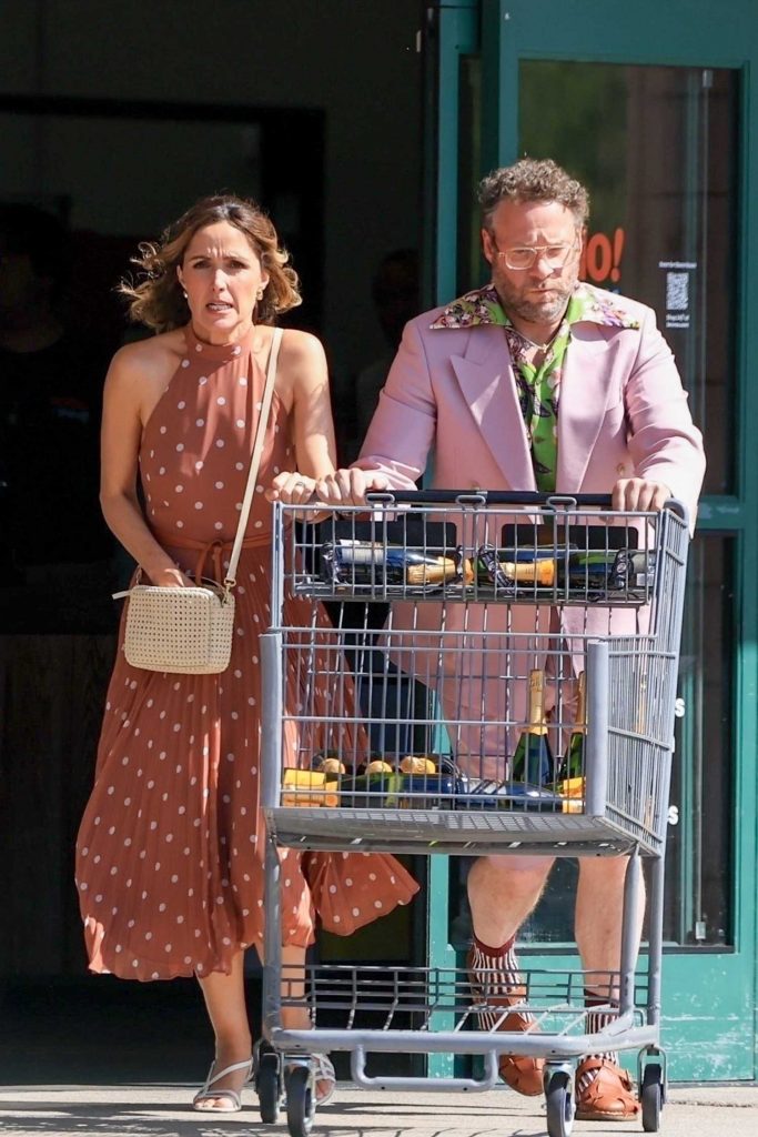 Rose Byrne in a Tan Polka Dot Dress