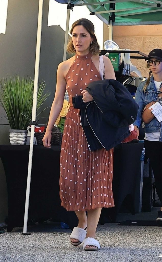 Rose Byrne in a Tan Polka Dot Dress