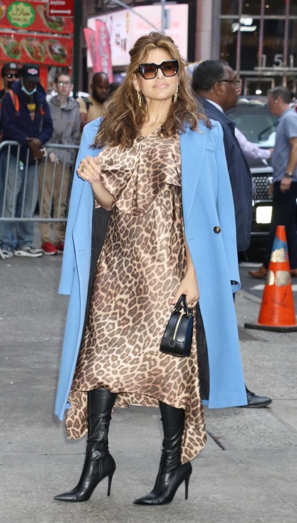 Eva Mendes in a Leopard Print Dress