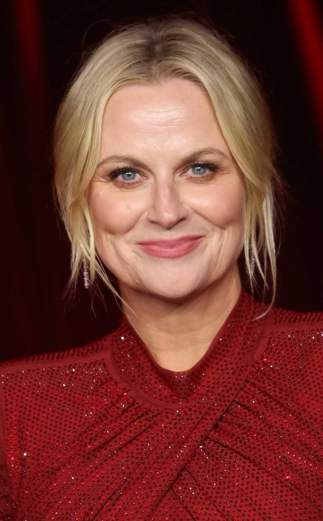 Amy Poehler