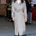 Emmy Rossum in a Plaid Trench Coat Was Seen on the Upper West Side in New York City