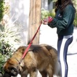 Kyle Richards in a Green Sweatshirt Walks Her Dog in Los Angeles