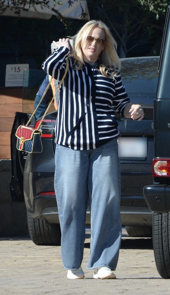 Rebel Wilson in a Striped Sweatshirt