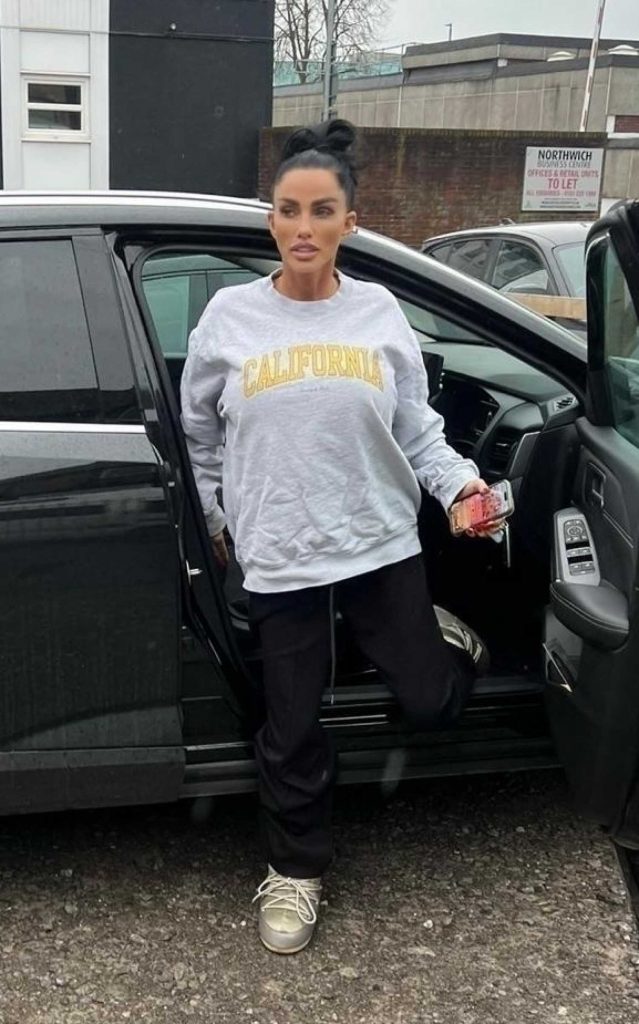 Katie Price in a Grey Sweatshirt