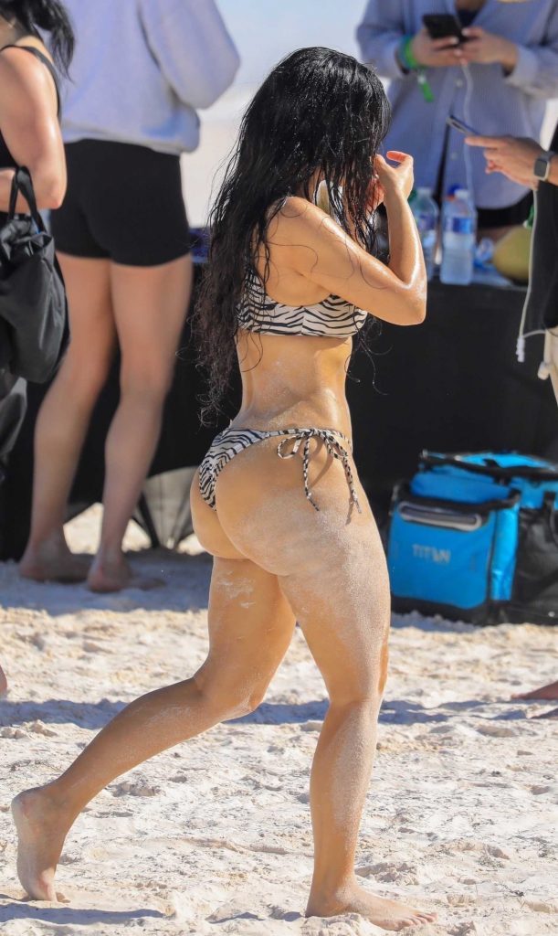 Kim Kardashian in a Zebra Print Bikini