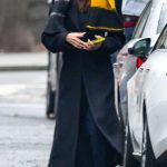 Emily Ratajkowski in a Black Coat Was Seen Out in New York