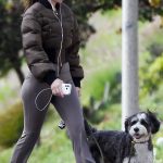 Ana de Armas in a Brown Jacket Walks Her Dog in Los Angeles